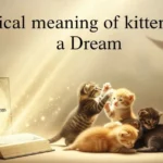 Biblical Meaning of Kittens in a Dream